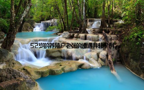 52岁的养殖户老张的遭遇并非个例