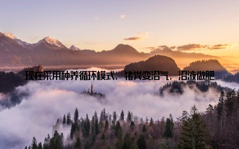 现在采用种养循环模式, 猪粪变沼气, 沼液做肥料, 去年我还拿到了碳减排认证呢! 他指着山上的果树告诉我, 这些都是用沼液浇灌的, 果子特别甜, 又卖了个好价钱