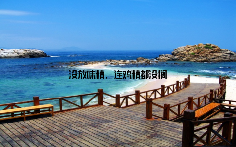 没放味精, 连鸡精都没搁