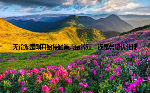 无论您是刚开始接触笋壳鱼养殖, 还是希望优化现有养殖模式, 这些实用的技术和经验都将为您的养殖事业带来显著提升
