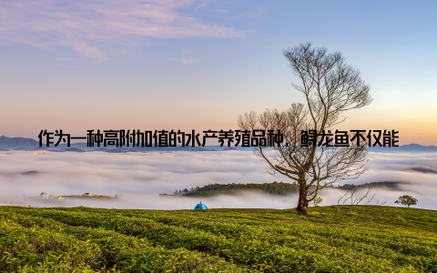 作为一种高附加值的水产养殖品种, 鲟龙鱼不仅能够提供优质的蛋白来源, 其衍生的鱼子酱等产品更是享誉国际的高端食材