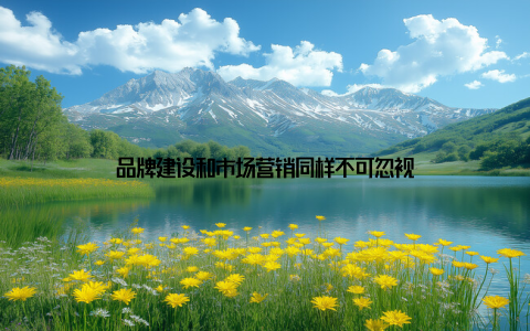 品牌建设和市场营销同样不可忽视