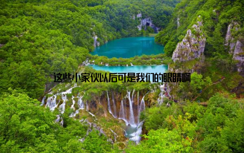 这些小家伙以后可是我们的眼睛啊