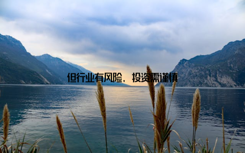 但行业有风险, 投资需谨慎
