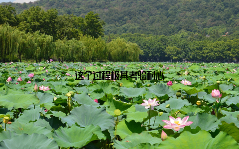 这个过程极其考验耐心