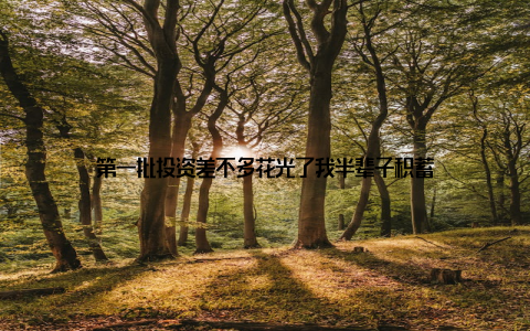 第一批投资差不多花光了我半辈子积蓄