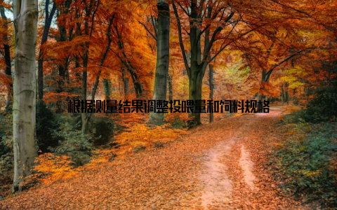 根据测量结果调整投喂量和饲料规格