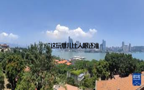 “这玩意儿比人眼还准