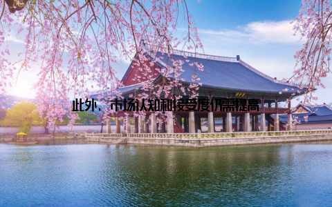 此外, 市场认知和接受度仍需提高