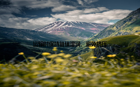 运输时保持鱼体湿润, 避免挤压