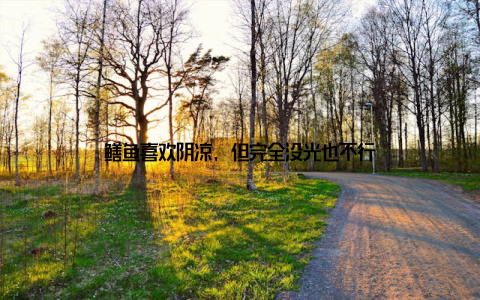 鳝鱼喜欢阴凉, 但完全没光也不行