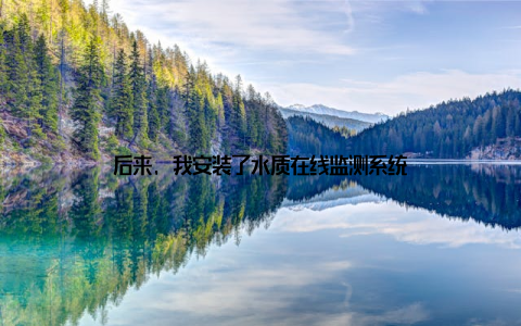 后来, 我安装了水质在线监测系统