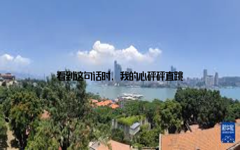 看到这句话时, 我的心砰砰直跳