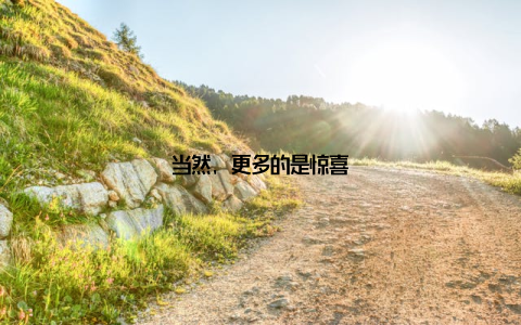 当然, 更多的是惊喜