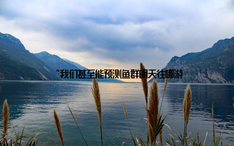 “我们甚至能预测鱼群明天往哪游
