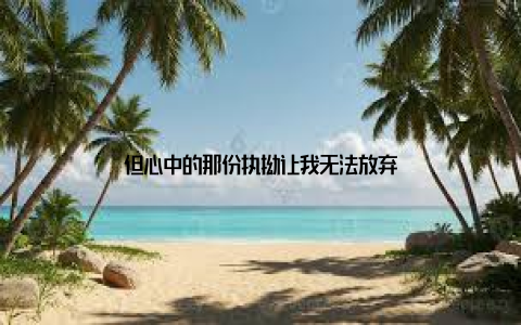 但心中的那份执拗让我无法放弃