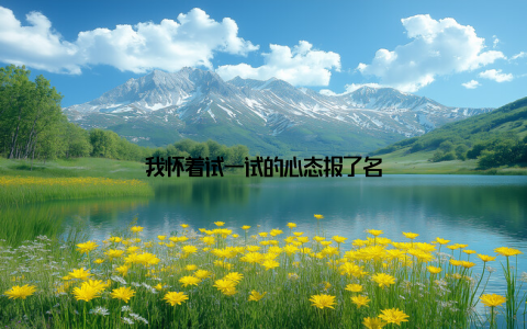 我怀着试一试的心态报了名