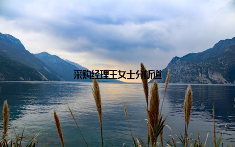 采购经理王女士分析道