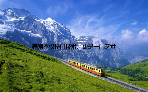 养殖不仅是门技术, 更是一门艺术