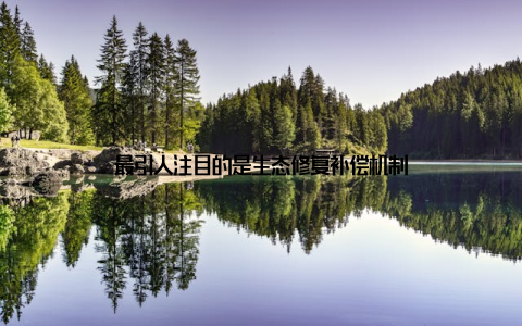 最引人注目的是生态修复补偿机制