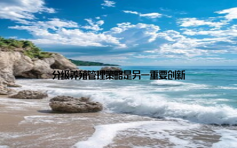 分级养殖管理策略是另一重要创新