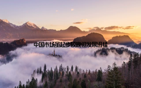 中国市场虽起步较晚但发展迅猛