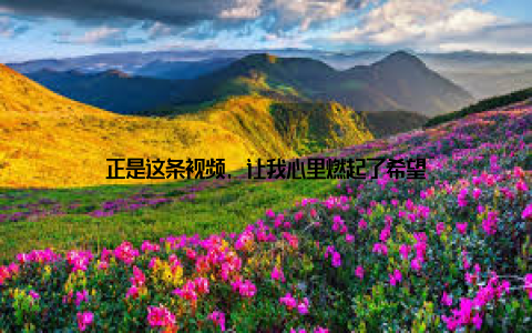 正是这条视频, 让我心里燃起了希望