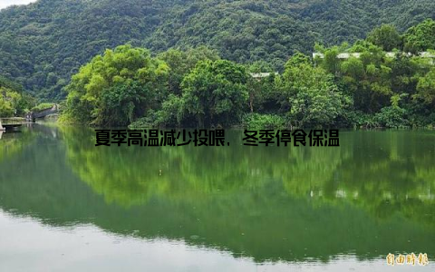 夏季高温减少投喂, 冬季停食保温