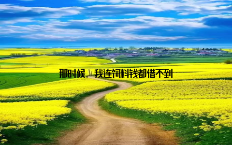 那时候, 我连饲料钱都借不到