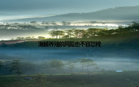 海鳗养殖的风险也不容忽视