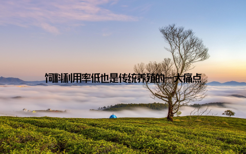 饲料利用率低也是传统养殖的一大痛点