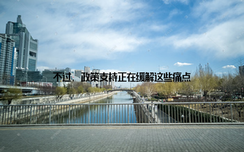 不过, 政策支持正在缓解这些痛点