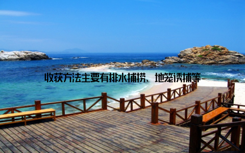 收获方法主要有排水捕捞、地笼诱捕等