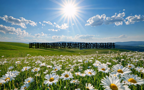 更值得称道的是基地搭建的电商矩阵