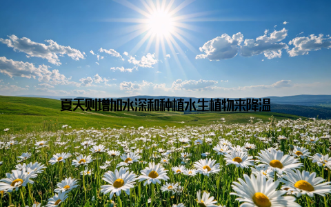 夏天则增加水深和种植水生植物来降温