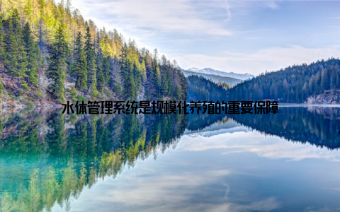 水体管理系统是规模化养殖的重要保障