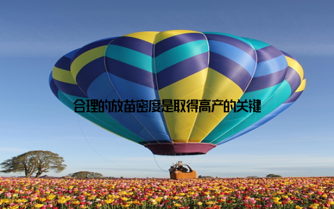 合理的放苗密度是取得高产的关键