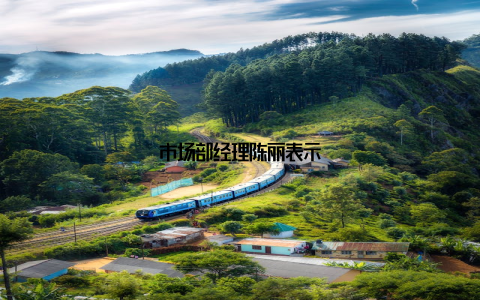 市场部经理陈丽表示