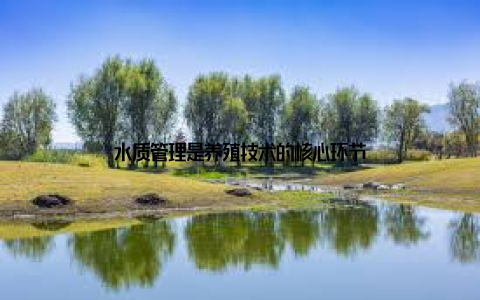水质管理是养殖技术的核心环节