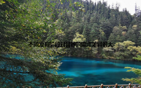 不同发育阶段对营养的需求差异很大
