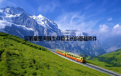 溶氧量是河豚生存和生长的基础条件