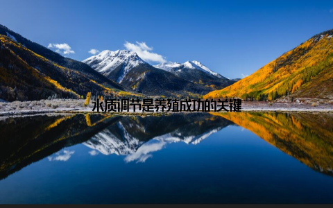 水质调节是养殖成功的关键