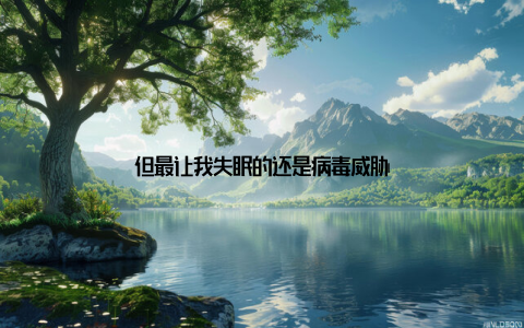 但最让我失眠的还是病毒威胁