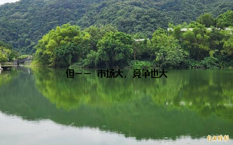 但—— 市场大, 竞争也大