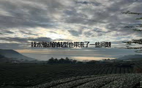 技术驱动的转型也带来了一些问题