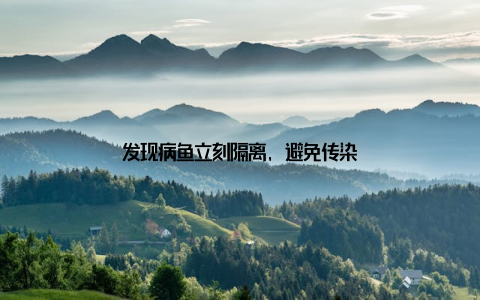 发现病鱼立刻隔离, 避免传染
