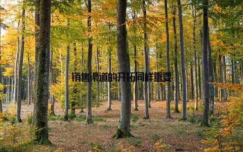 销售渠道的开拓同样重要