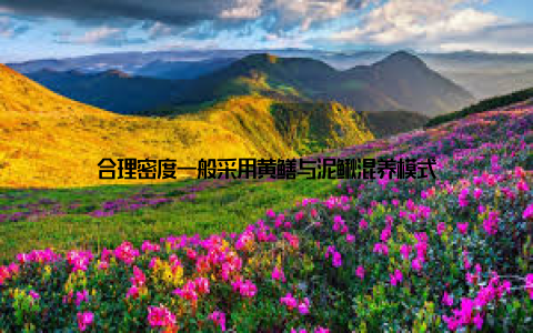 合理密度一般采用黄鳝与泥鳅混养模式