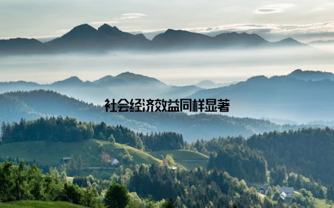社会经济效益同样显著