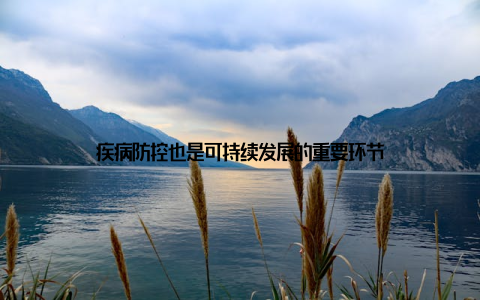 疾病防控也是可持续发展的重要环节